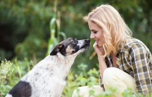 Unveiling the Canine Mind: Insights into Dog Intelligence