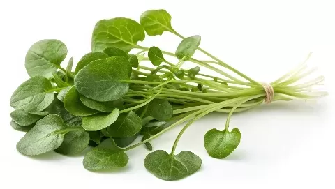 The CDC Says Watercress Is the Healthiest Vegetable—Here's How to Add It to Your Diet